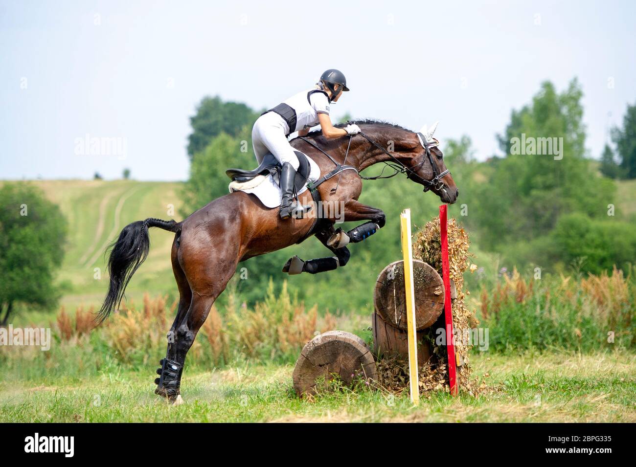 Eventing: Cavaliere equestre che salta sopra un ostacolo di recinto di brance Foto Stock