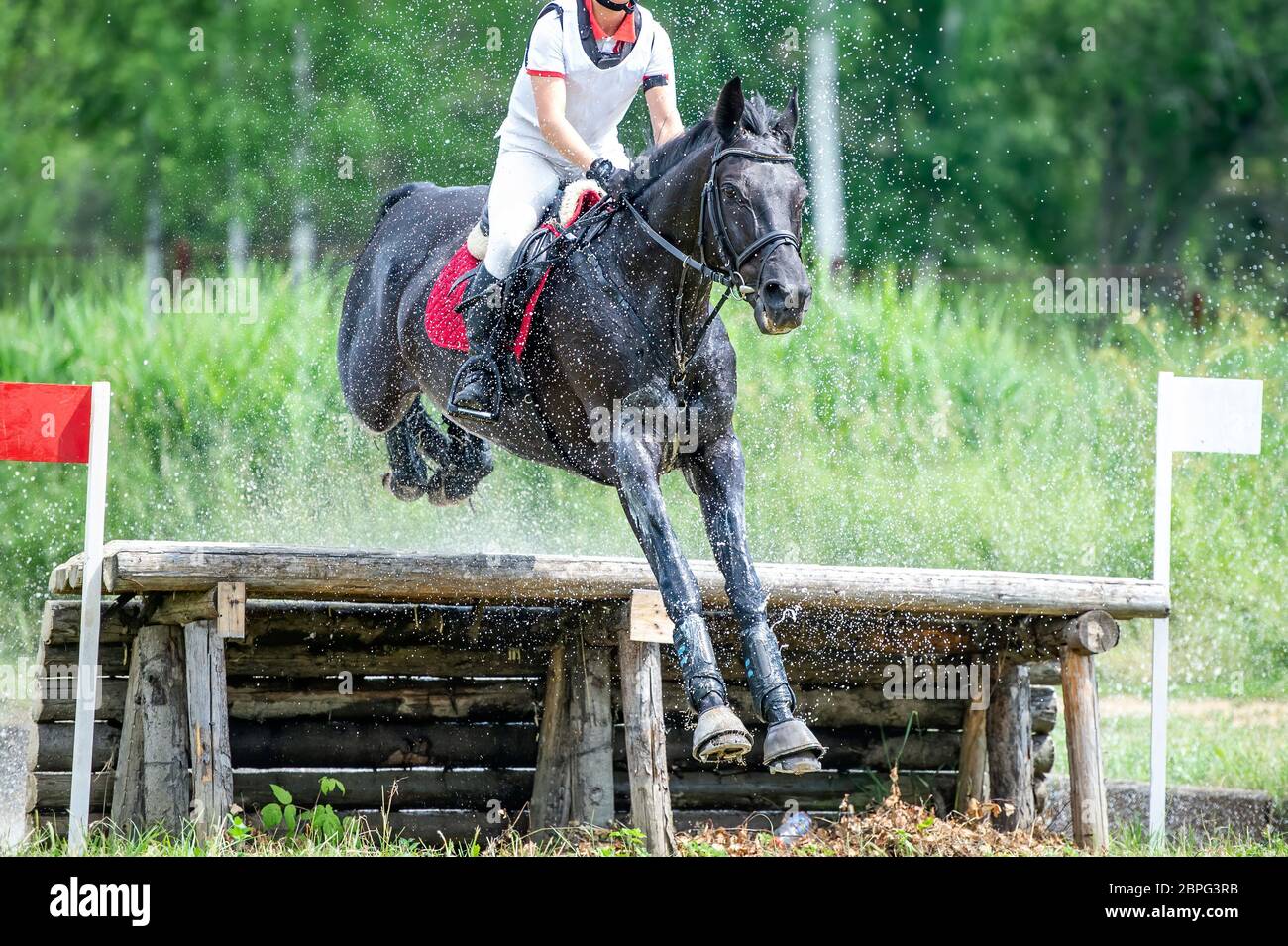 Eventing: Cavaliere equestre che salta sopra un ostacolo di recinto di ceppo Foto Stock