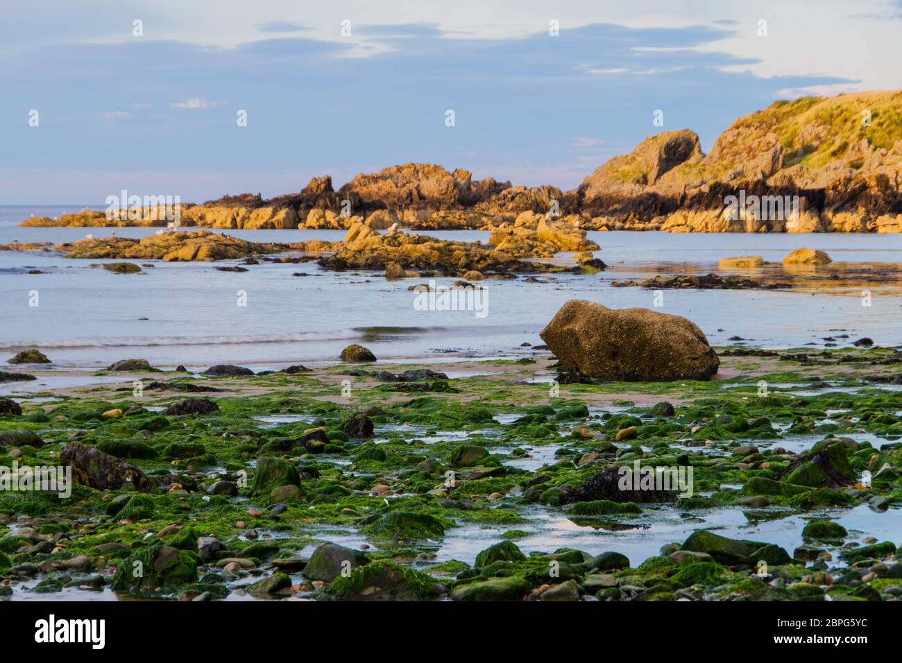 Il Dornoch Firth è un firth sulla costa est di Highland, nel nord della Scozia. Foto Stock