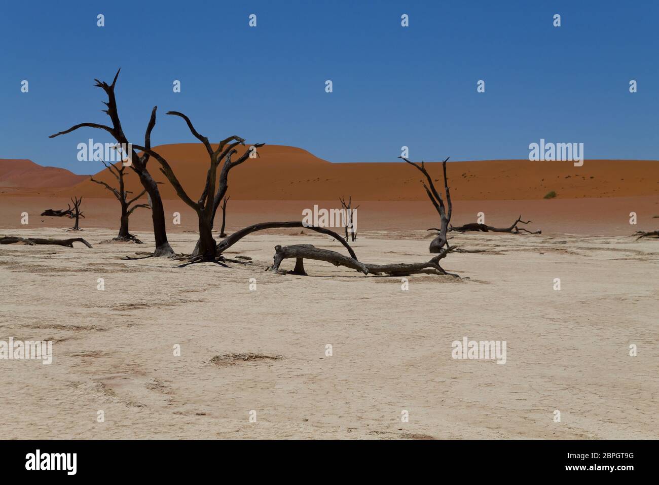 Una vista dal Dead Vlei, Sossusvlei Namibia Foto Stock