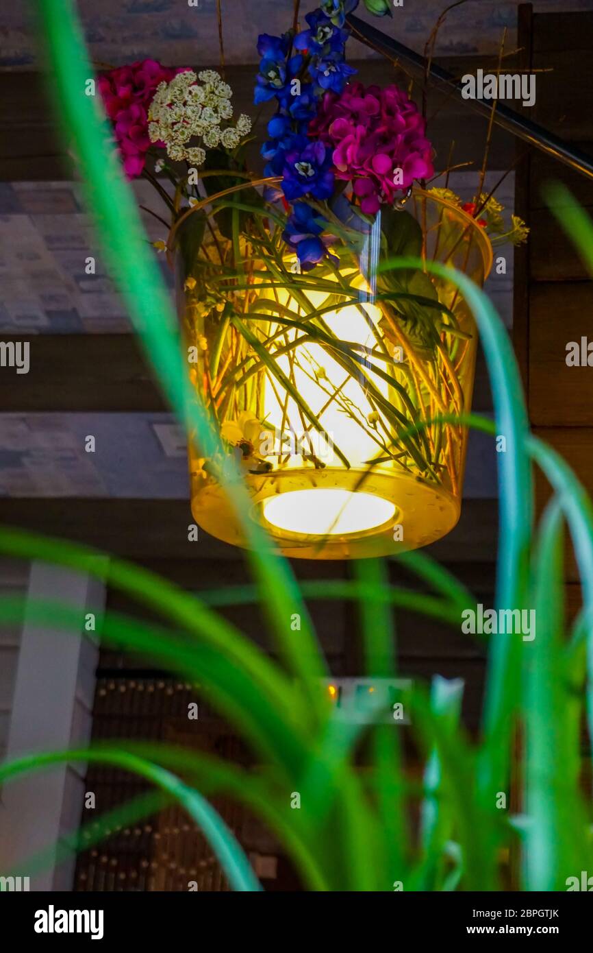 Decorazioni floreali in cafe, Lettonia. Fiori in un vaso. Bar interno con fiori. Vaso di fiori decor e appeso al soffitto. Foto Stock