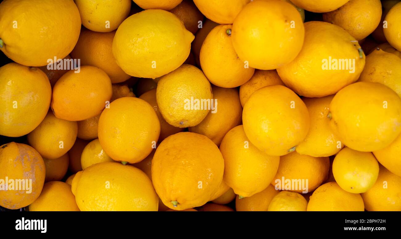 Un mucchio di delizioso limone fruttato esotico, famiglia di agrumi Foto Stock
