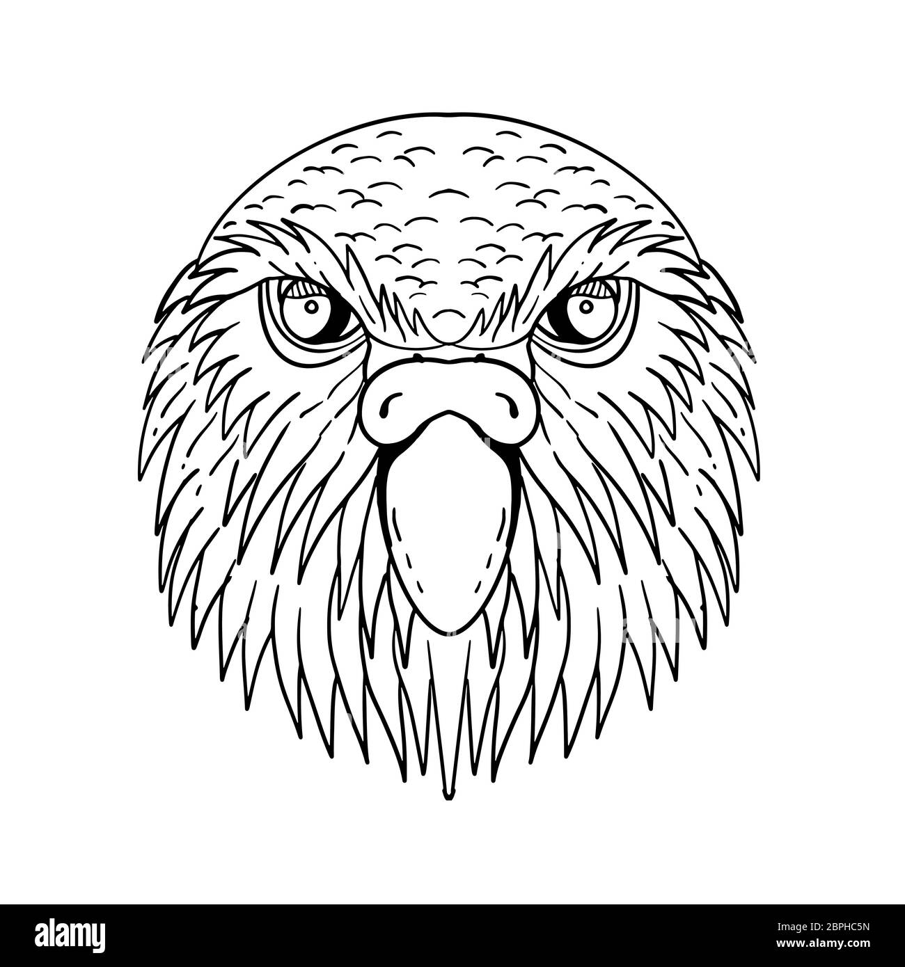 Disegno stile sketch illustrazione della testa di kakapo, notte parrot o owl parrot, una specie di flightless, notturno, terra-abitazione pappagallo endemico Foto Stock
