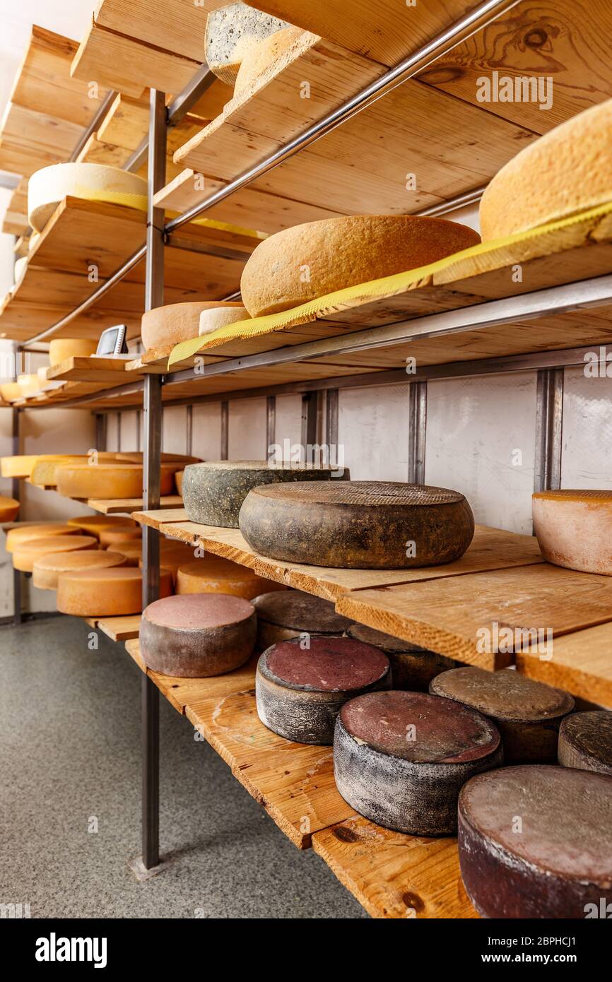 Ruote di formaggio in un magazzino di stagionatura in cantina prodotti lattiero-caseari sui ripiani in legno Foto Stock