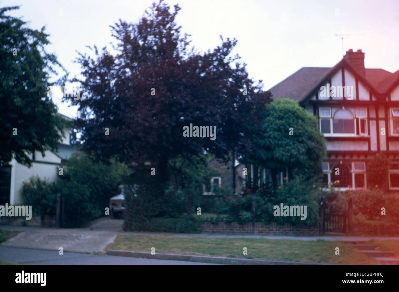 Una casa a conduzione familiare semi indipendente in stile Tudor mock costruita nel 1937, con alberi, arbusti e canne nel giardino anteriore e un'Alfa Romeo Giulia Super beige parcheggiata nel drive a Hatch End Park Estate, Milne Feild, Middlesex, UK Foto Stock