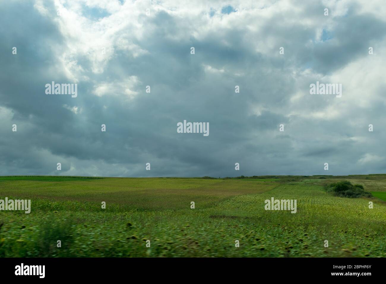 Bellissimo paesaggio di un campo, Lazio, Italia Foto Stock