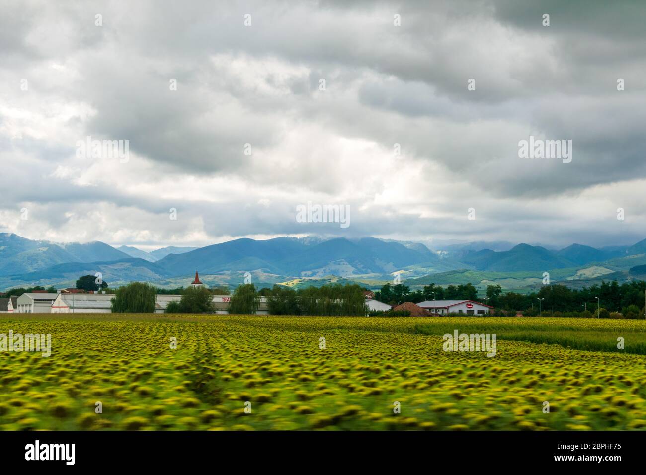 Bellissimo paesaggio di un campo, Lazio, Italia Foto Stock
