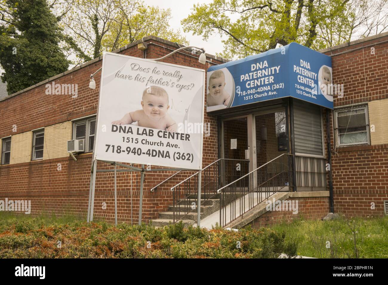 Centro di paternità DNA, Centro di Salute della Comunità, Flatbush, Brooklyn, New York. Foto Stock
