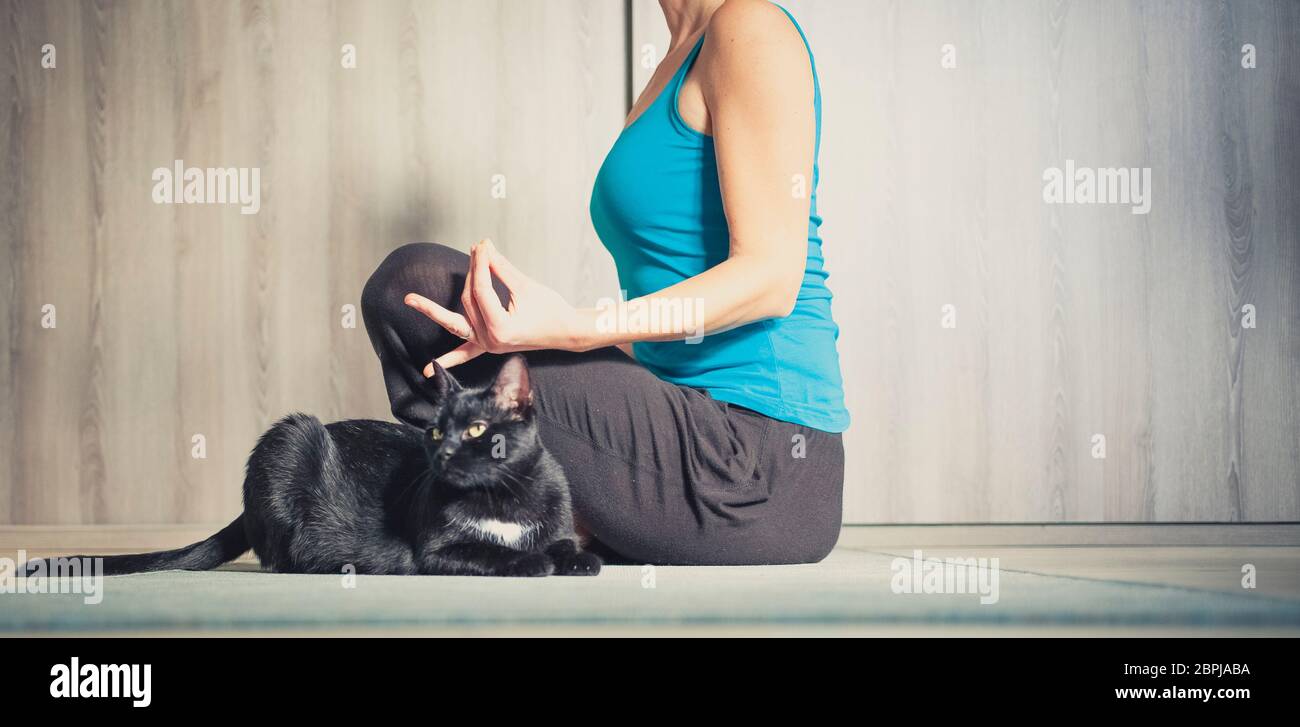 Donna fare yoga a casa - gatto nero seduto accanto a lei Foto Stock