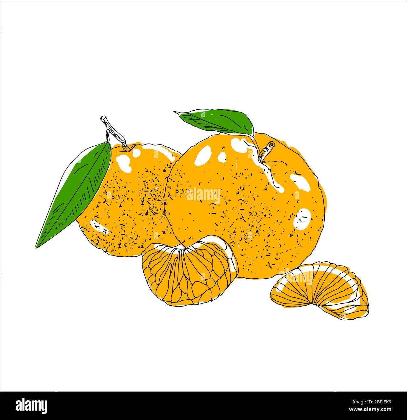 Disegnata a mano vector estate bevanda ghiacciata con cittrus. Limone e menta. Detox acqua. Illustrazione lineare. - Illustrazione Vettoriale Foto Stock Disegnata a mano vector estate bevanda ghiacciata con cittrus. Limone e menta. Detox acqua. Illustrazione lineare. - Illustrazione Vettoriale Foto Stock