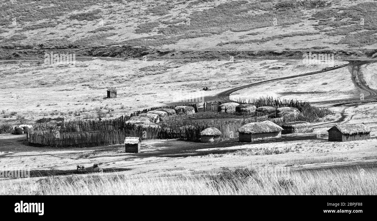 Villaggio Maasai; piccole capanne di fango circolare, altri edifici, tetti di paglia, penna animale, nero, bianco, paesaggio, popolazioni indigene, Tanzania; Africa Foto Stock