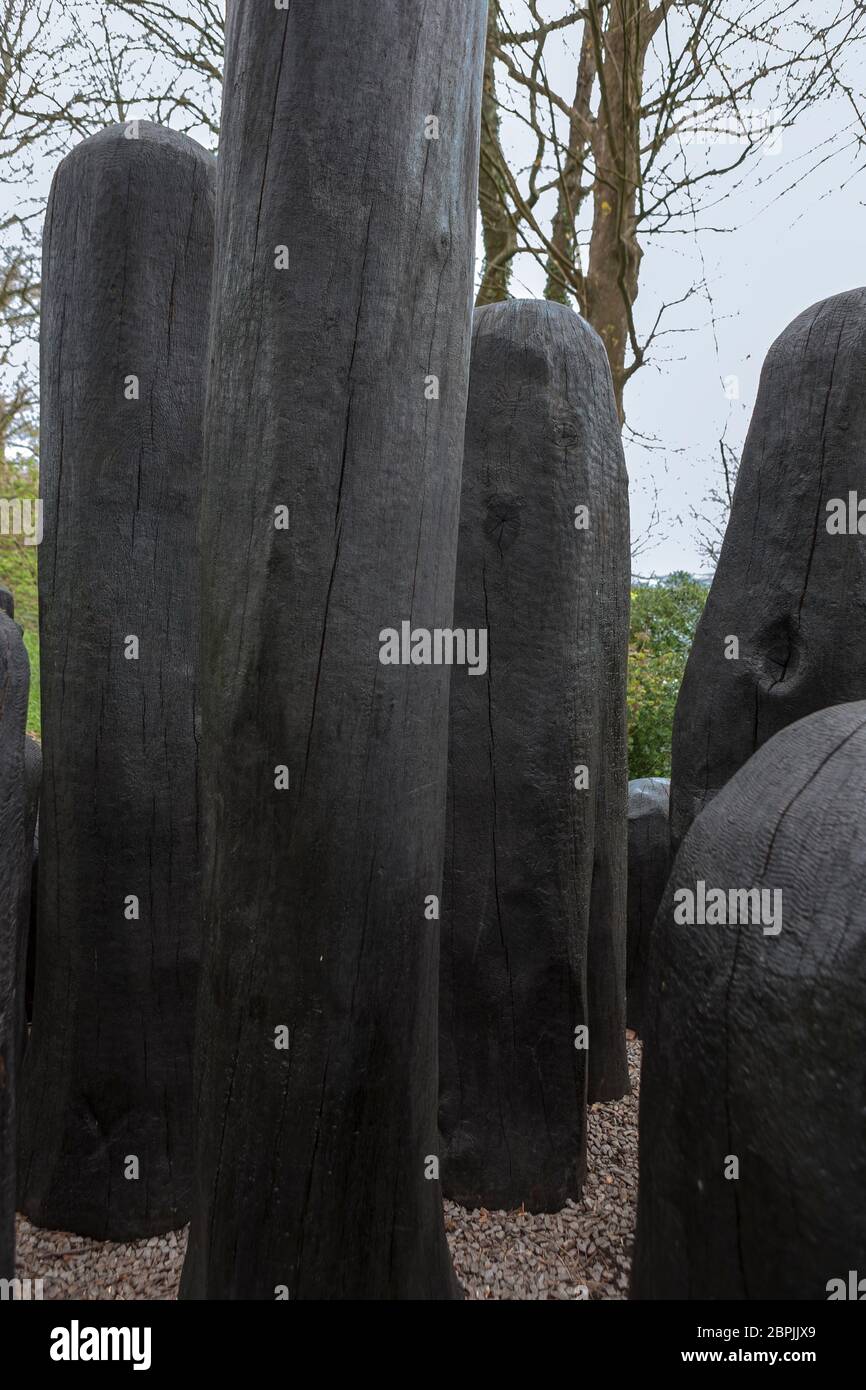 'Black Mound' di David Nash, RA.: Potente collezione di forme di quercia in un huddle scolpito, Tremenheere Sculpture Garden, Penzance, Cornovaglia, UK Foto Stock