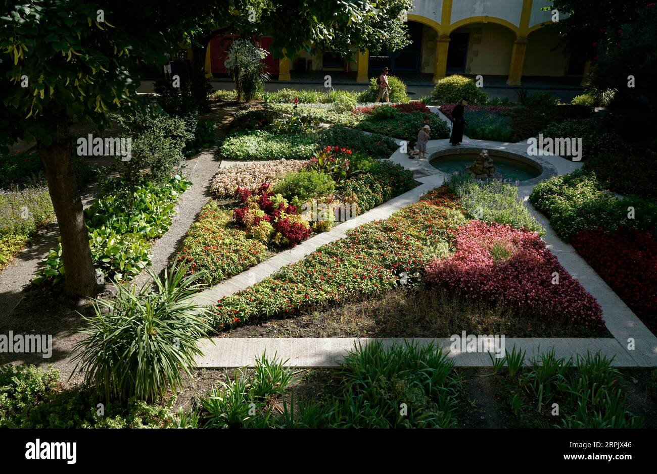 Il giardino in Espace Van Gogh centro culturale l'ex Hospital.Arles, Bocche del Rodano, Provenza-Alpi-Costa Azzurra.Francia Foto Stock