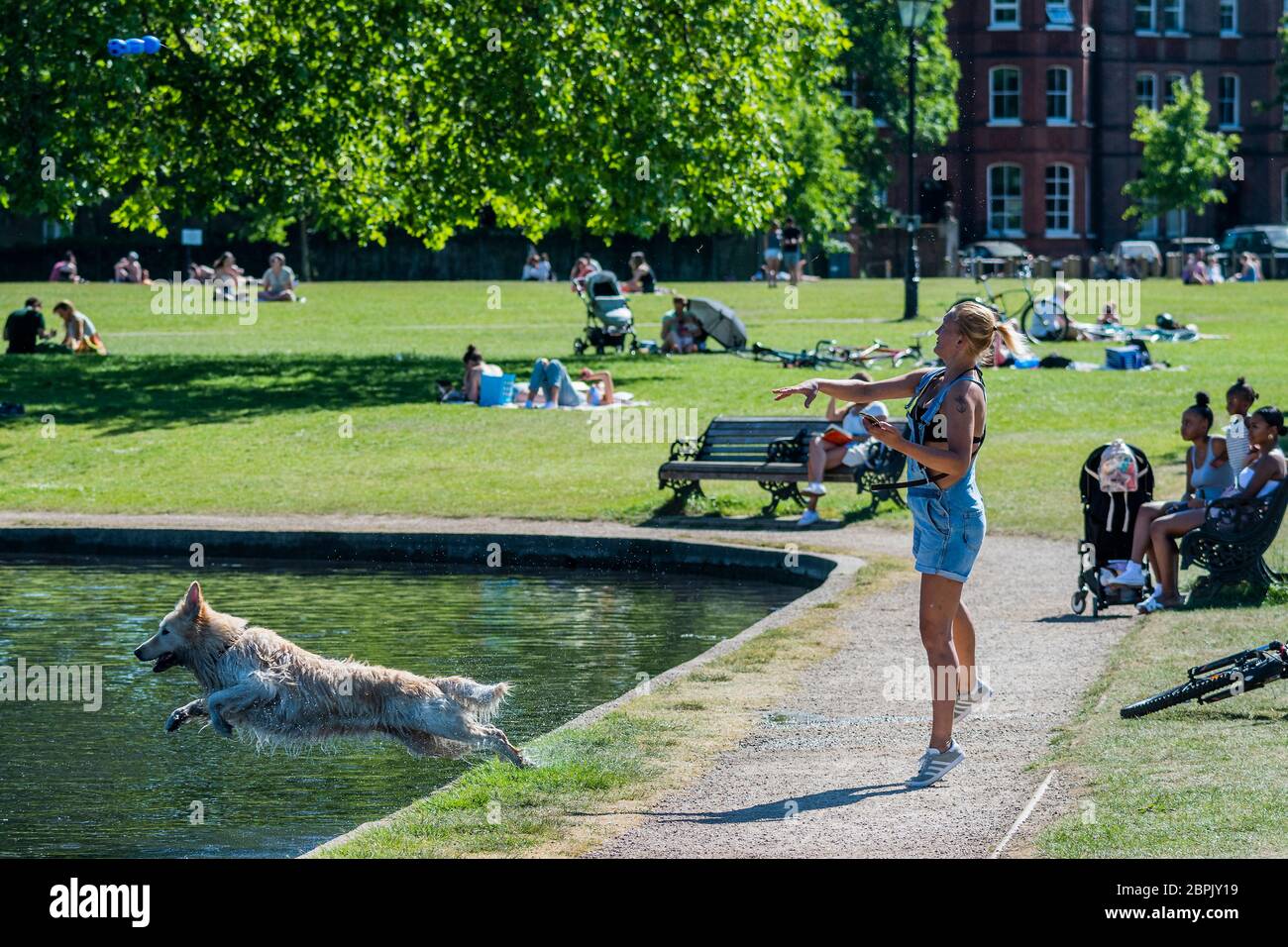 Londra, Regno Unito. 19 maggio 2020. Una donna esercita il suo cane nel lago di barca modello - la gente gode il sole su Clapham comune dopo che il governo ha allentato le restrizioni e ha permesso alla gente di incontrarsi - Lambeth Consiglio hanno sostituito i segni per dire stare allerta e per permettere alle persone di sedersi sulle panchine. Il "blocco" continua per l'epidemia di Coronavirus (Covid 19) a Londra. Credit: Guy Bell/Alamy Live News Foto Stock