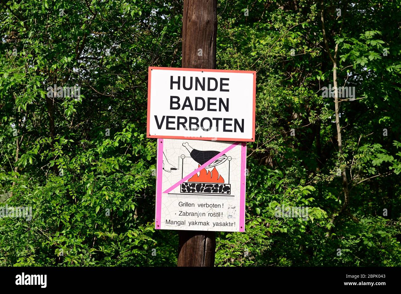 Austria, bassa Austria. Nationalpark Donau-Auen, il Lobau. Iscrizione 'vietato il bagno dei cani'. Foto Stock