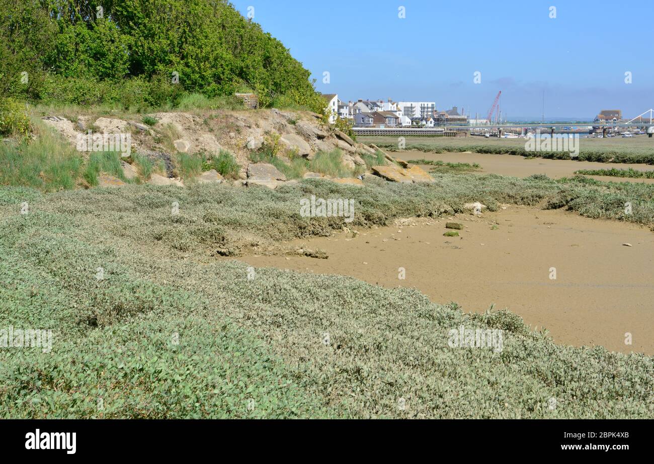 Fango al fiume Adur estuario a Shoreham, West Sussex Foto Stock