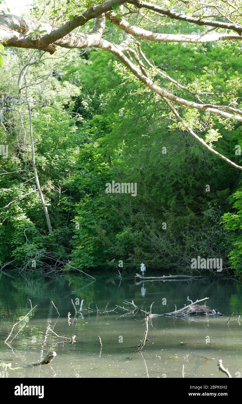 Kelsey Park, Beckenham, Kent Foto Stock