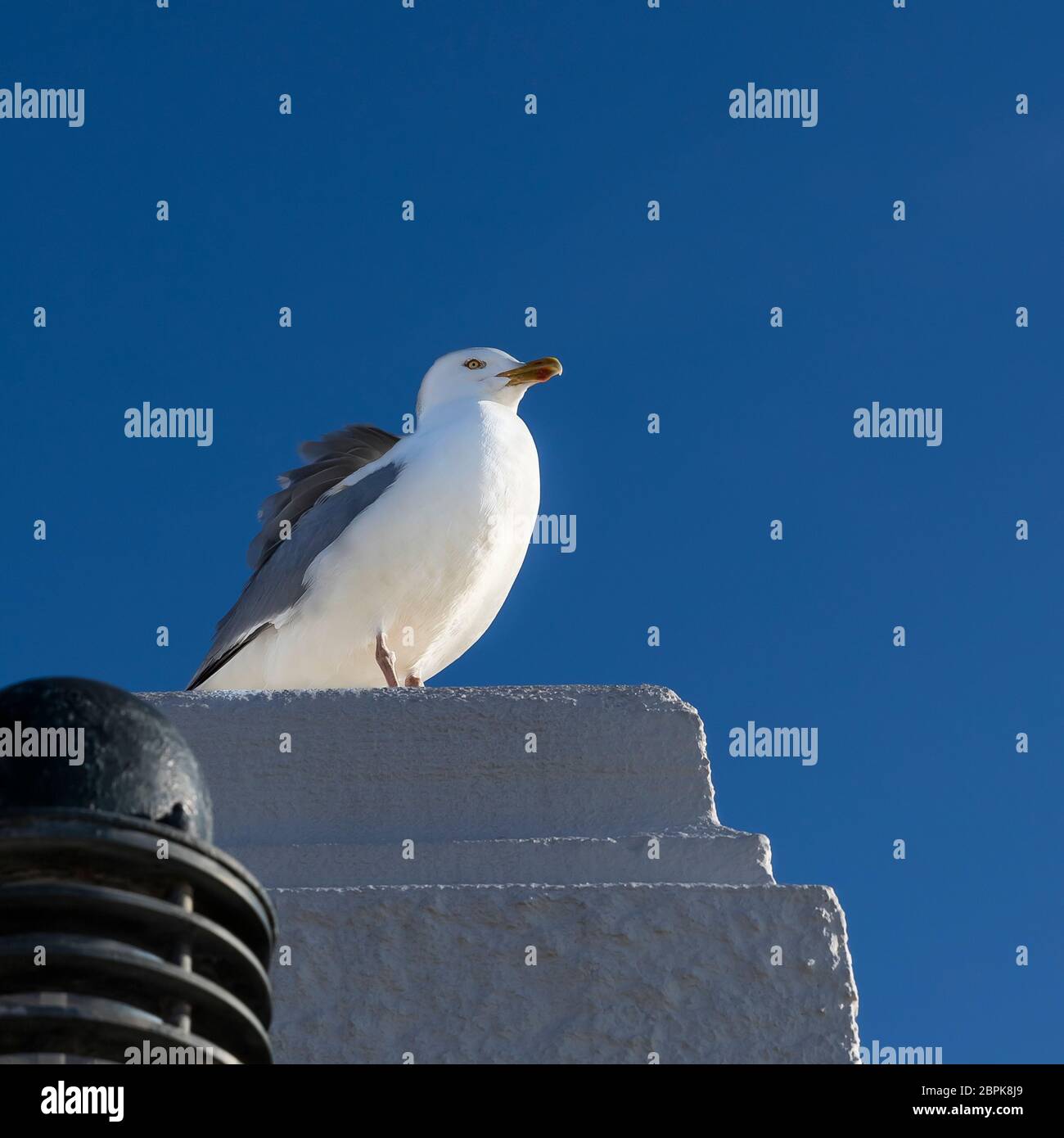 Argano illuminato al sole nel vento Foto Stock