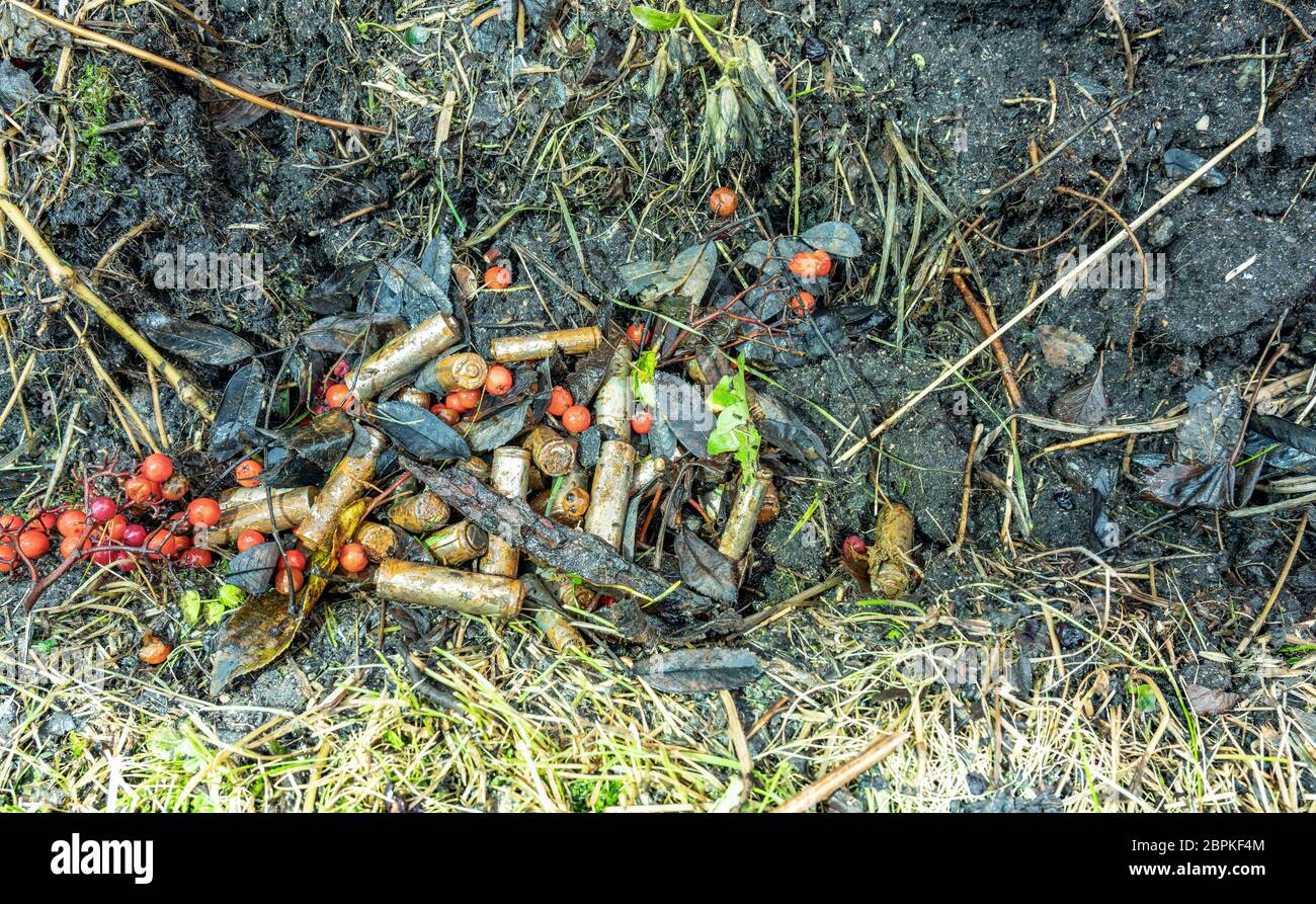 Scarico molto arrugginito perdite batterie alcaline gettate in modo errato via al campo di grano raccolto, non riciclati, stanno avvelenando l'ambiente, gettato dentro Foto Stock