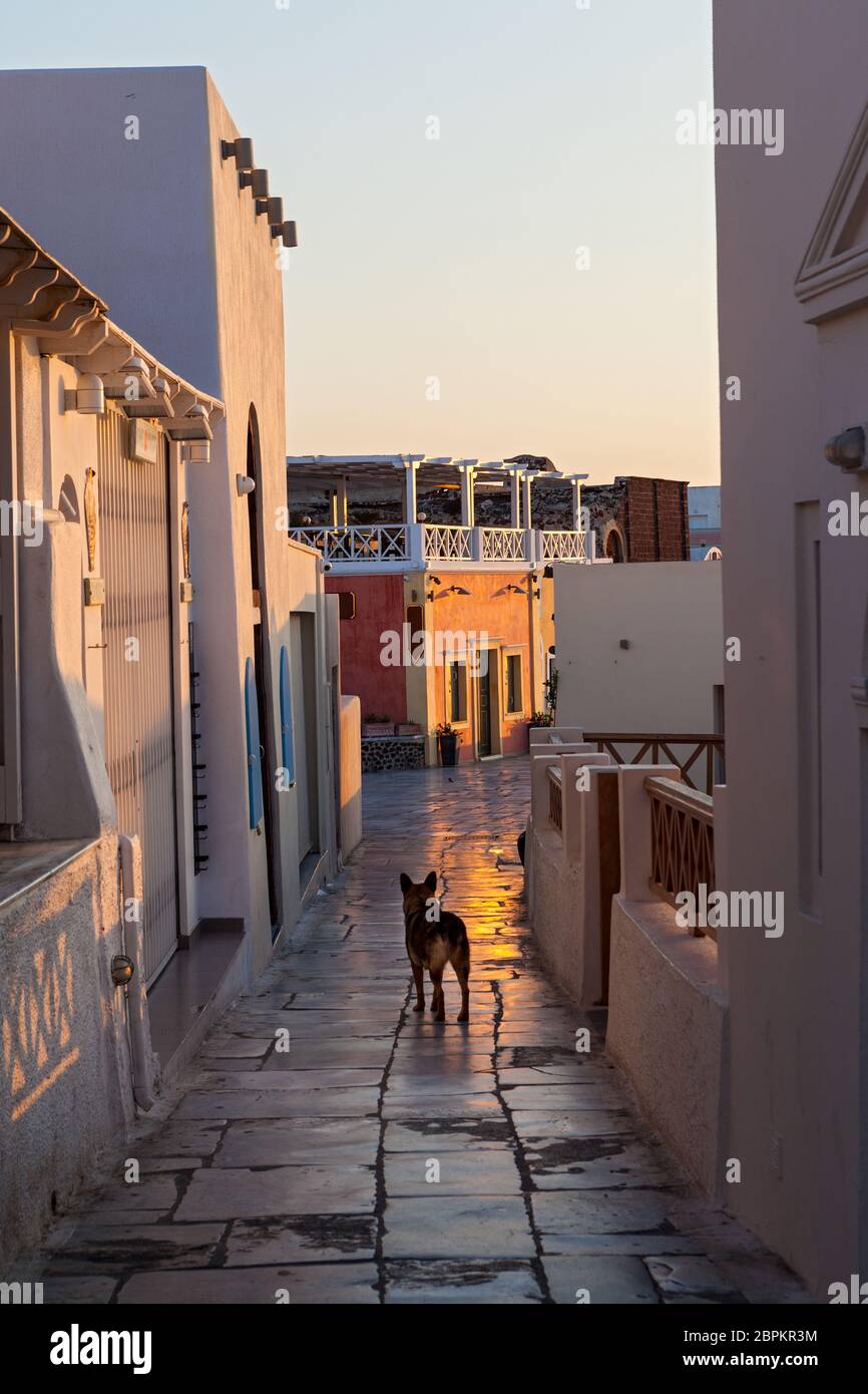 Dawn sulle strade di Santorini, Grecia Foto Stock