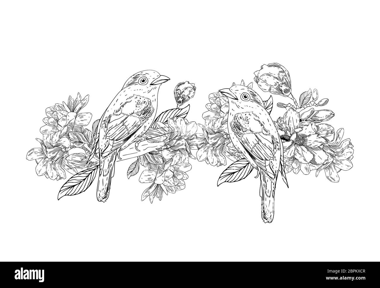 Bird con fiori in stile vintage. Primavera gli uccelli seduti sui rami blossom. Inciso lineare art. Isolato su sfondo bianco. Foto Stock