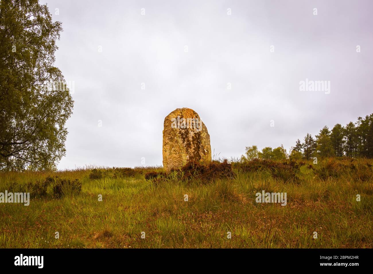 Grande pietra eretta in un cimitero preistorico dell'Età del Bronzo, Vatteryd grave campo, Hassleholm, Svezia, 11 maggio 2018 Foto Stock