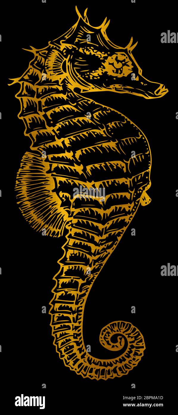 Il cavalluccio marino meatllic golden ocean wildlife illustrazione esotiche Foto Stock