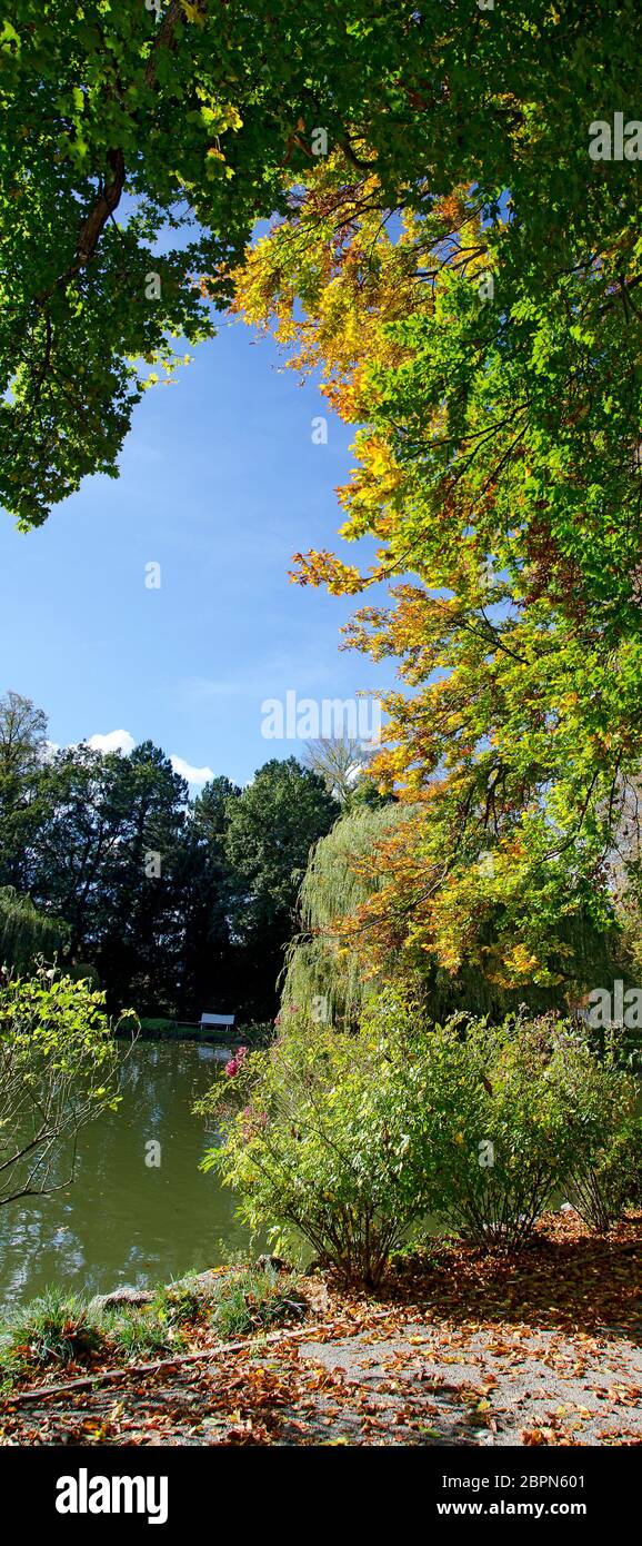 Alberi dai colori autunnali accanto a uno stagno in un parco di Baden vicino a Vienna, Austria Foto Stock