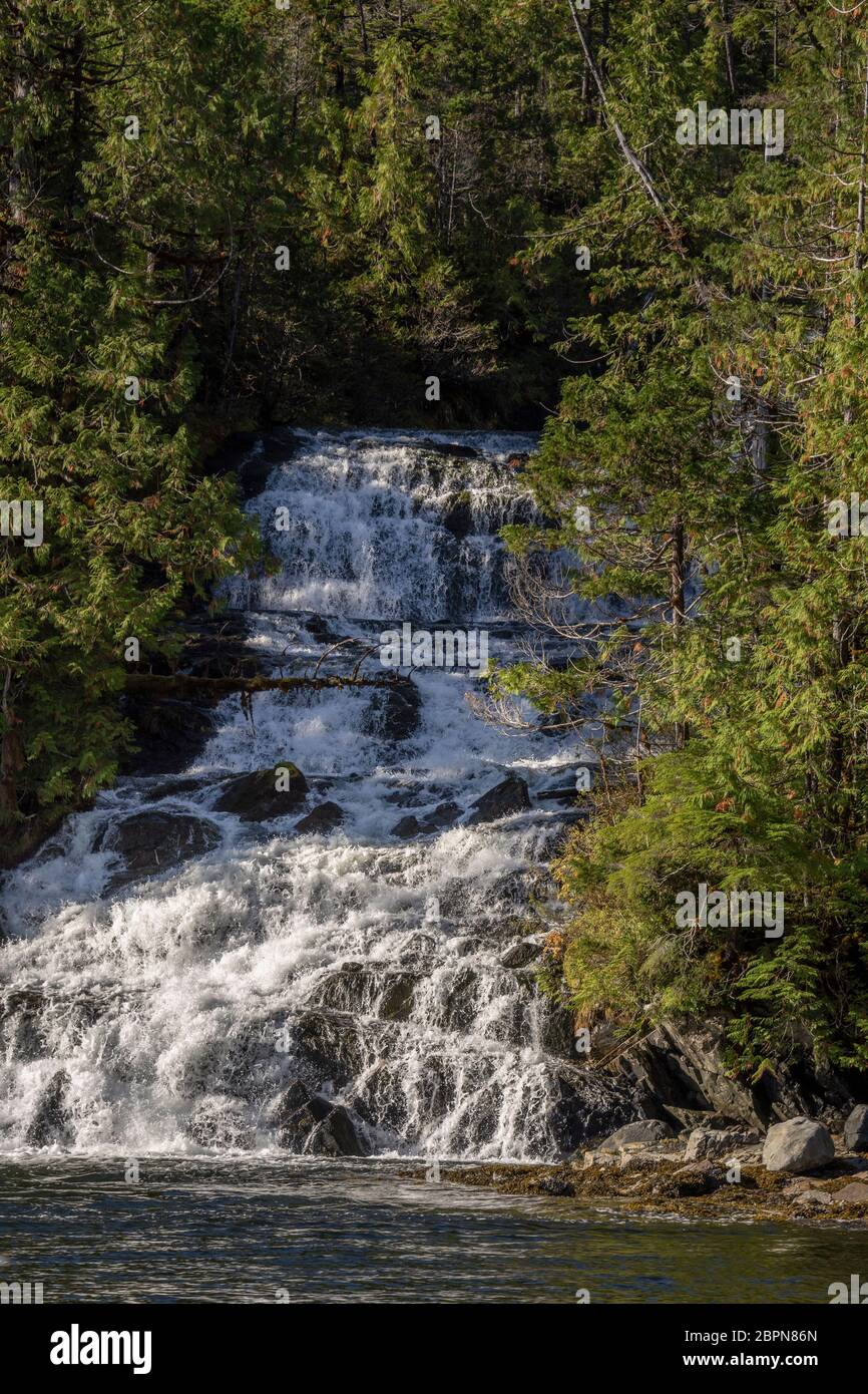 Torrente di montagna che scorre nel canale di Grenville, costa nord della British Columbia Foto Stock