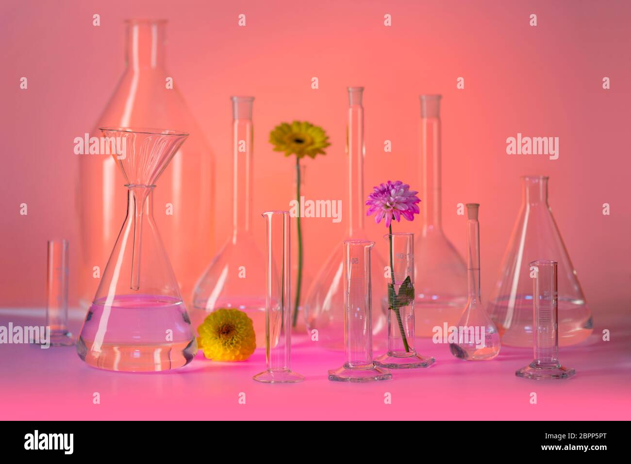Varietà di riempire parzialmente la vetreria di laboratorio comprese alcune teste di fiori nella calda atmosfera illuminata Foto Stock