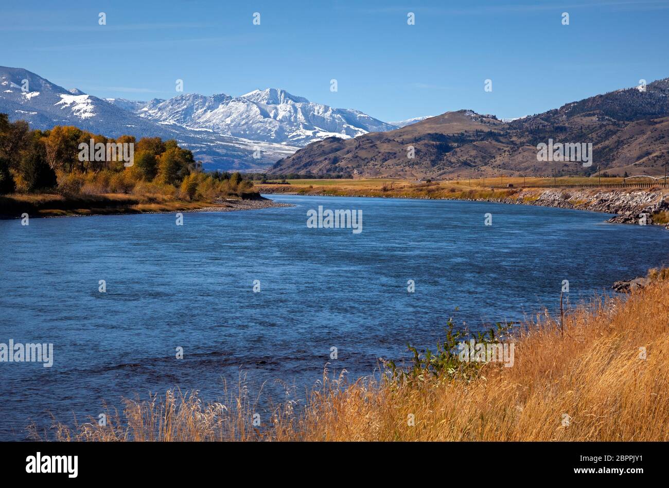 WY04444-00...MONTANA - il fiume Yellowstone e la natura selvaggia di Absaroka-Beartooth nella foresta nazionale di Gallatin dall'autostrada 89. Foto Stock WY04444-00...MONTANA - il fiume Yellowstone e la natura selvaggia di Absaroka-Beartooth nella foresta nazionale di Gallatin dall'autostrada 89. Foto Stock