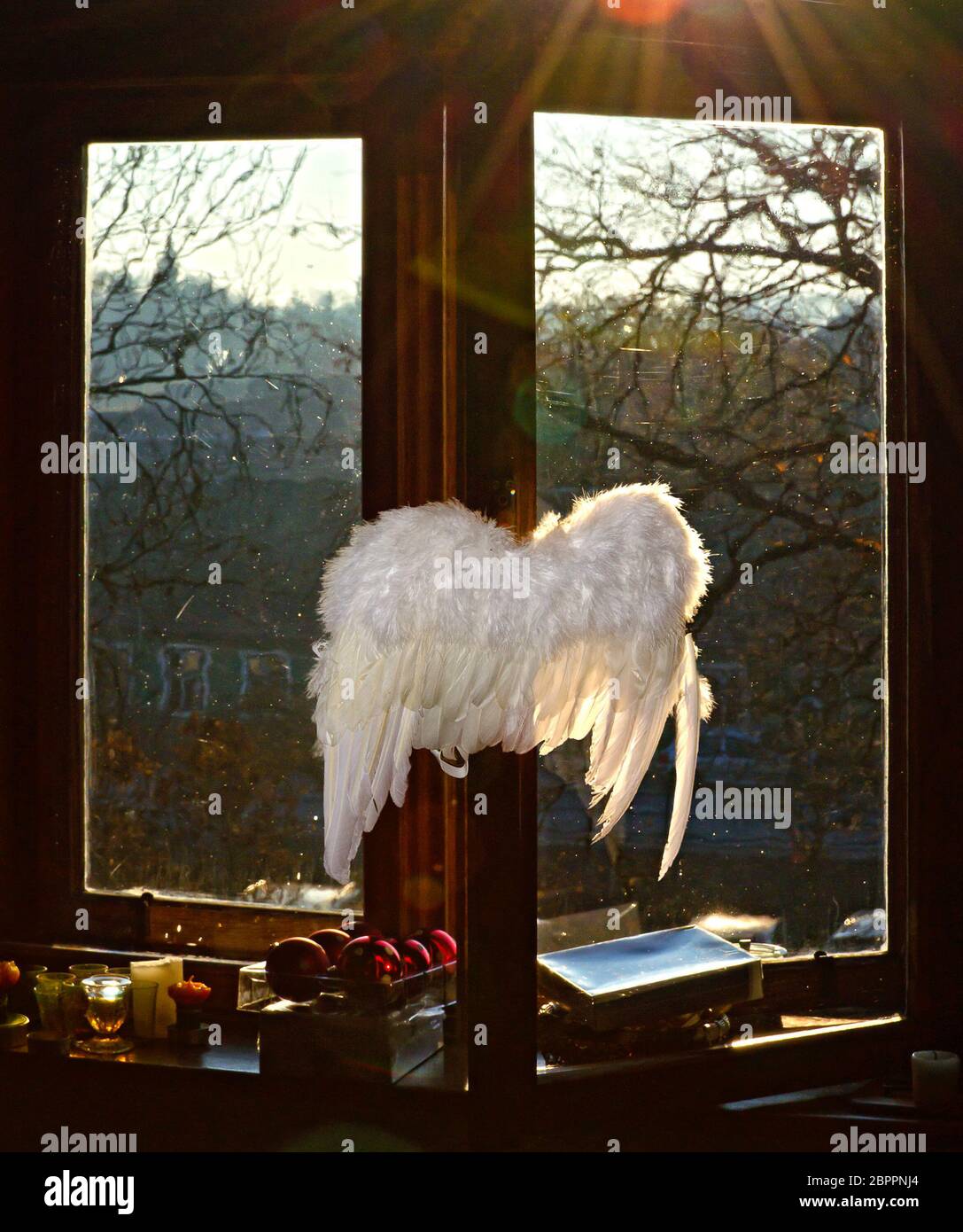 Ala di angel e ornamento natalizio ad un'ala di una finestra alla luce del tramonto d'inverno, Austria Foto Stock