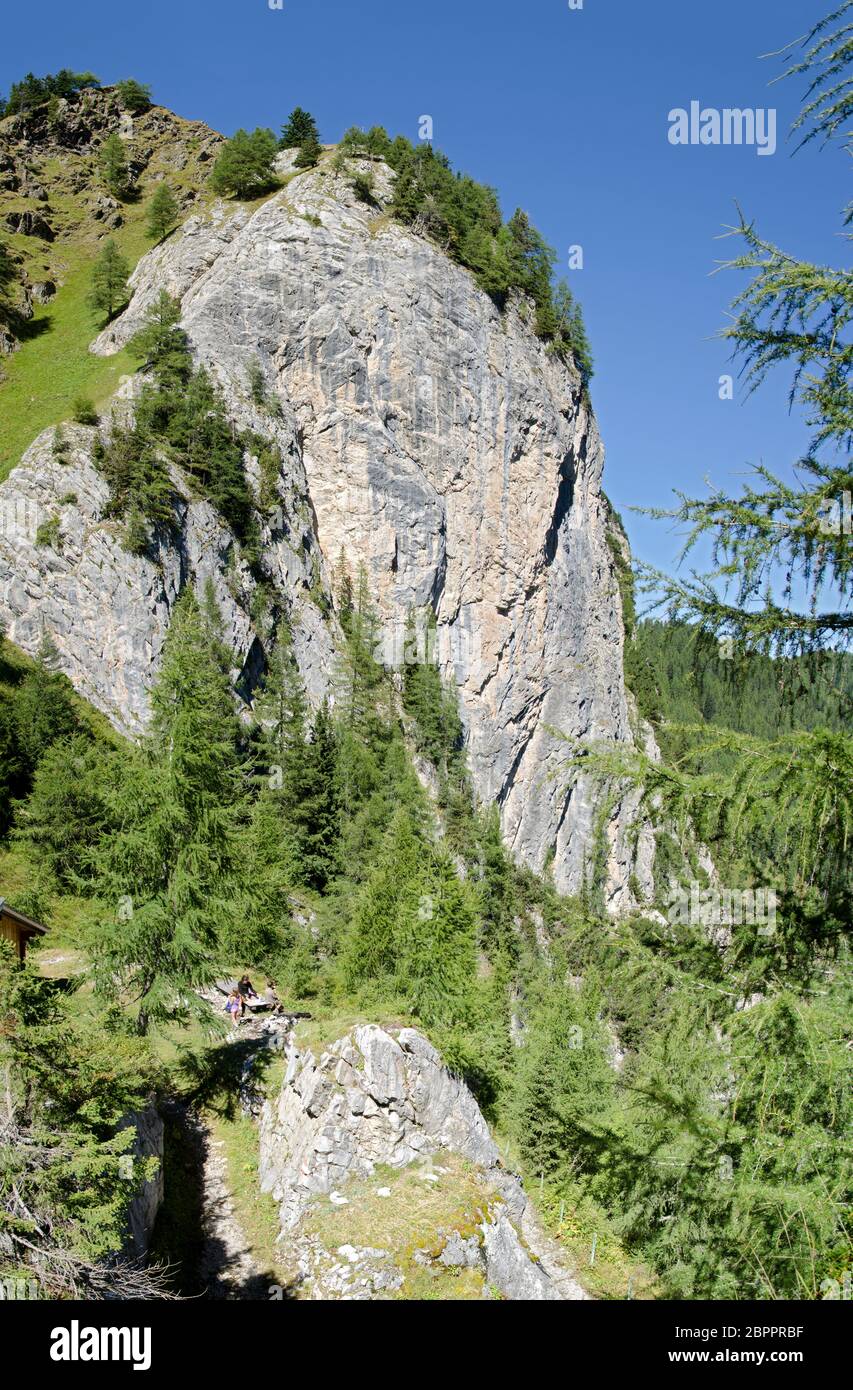 Scogliera a Obstanser prato terreno nelle Alpi Carniche del Tirolo Orientale, Austria Foto Stock
