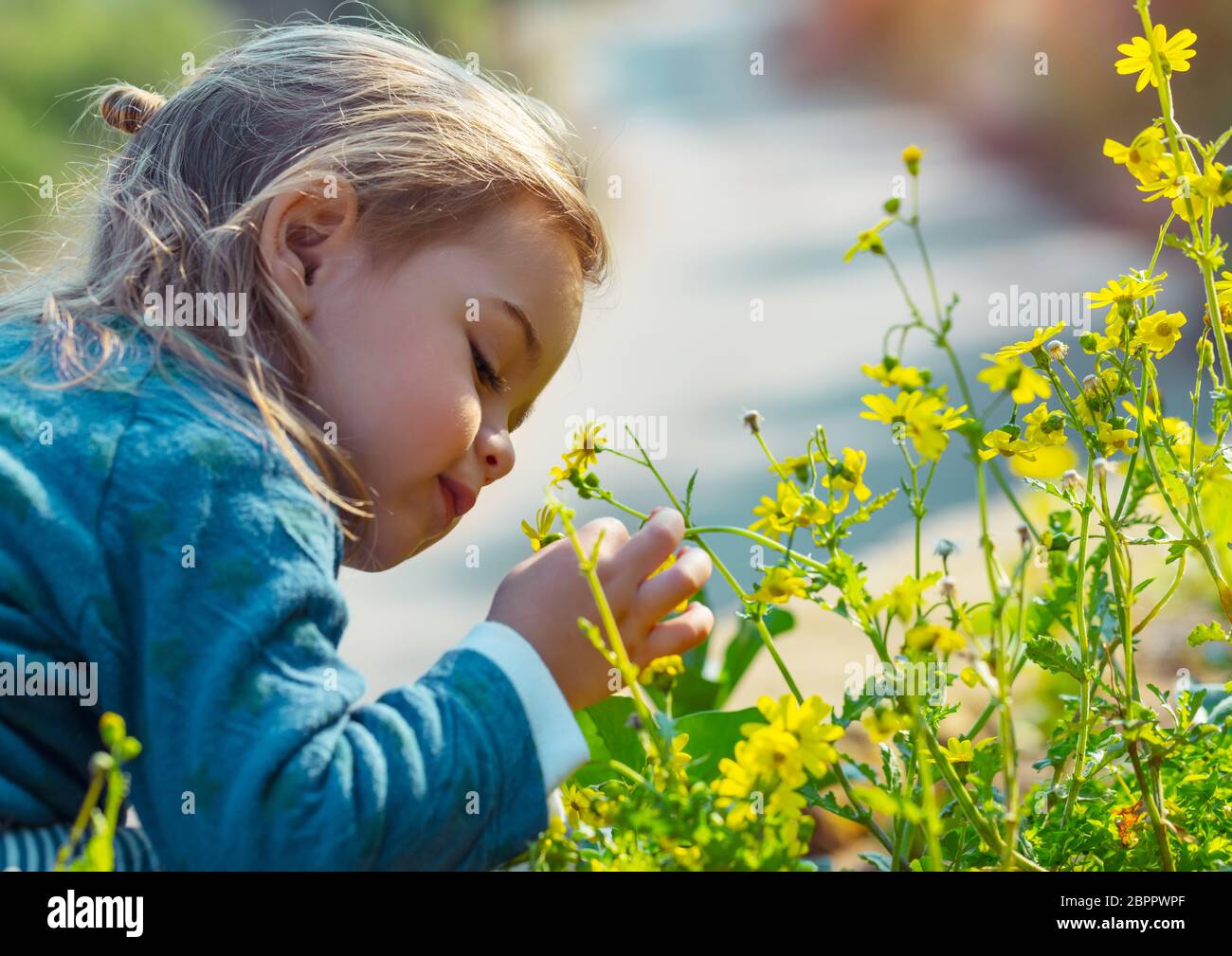 Little Boy godendo di aroma di fiori, con piacere con gli occhi chiusi odore delicato giallo fiori selvatici, godendo della bellezza di fresca natura a molla Foto Stock