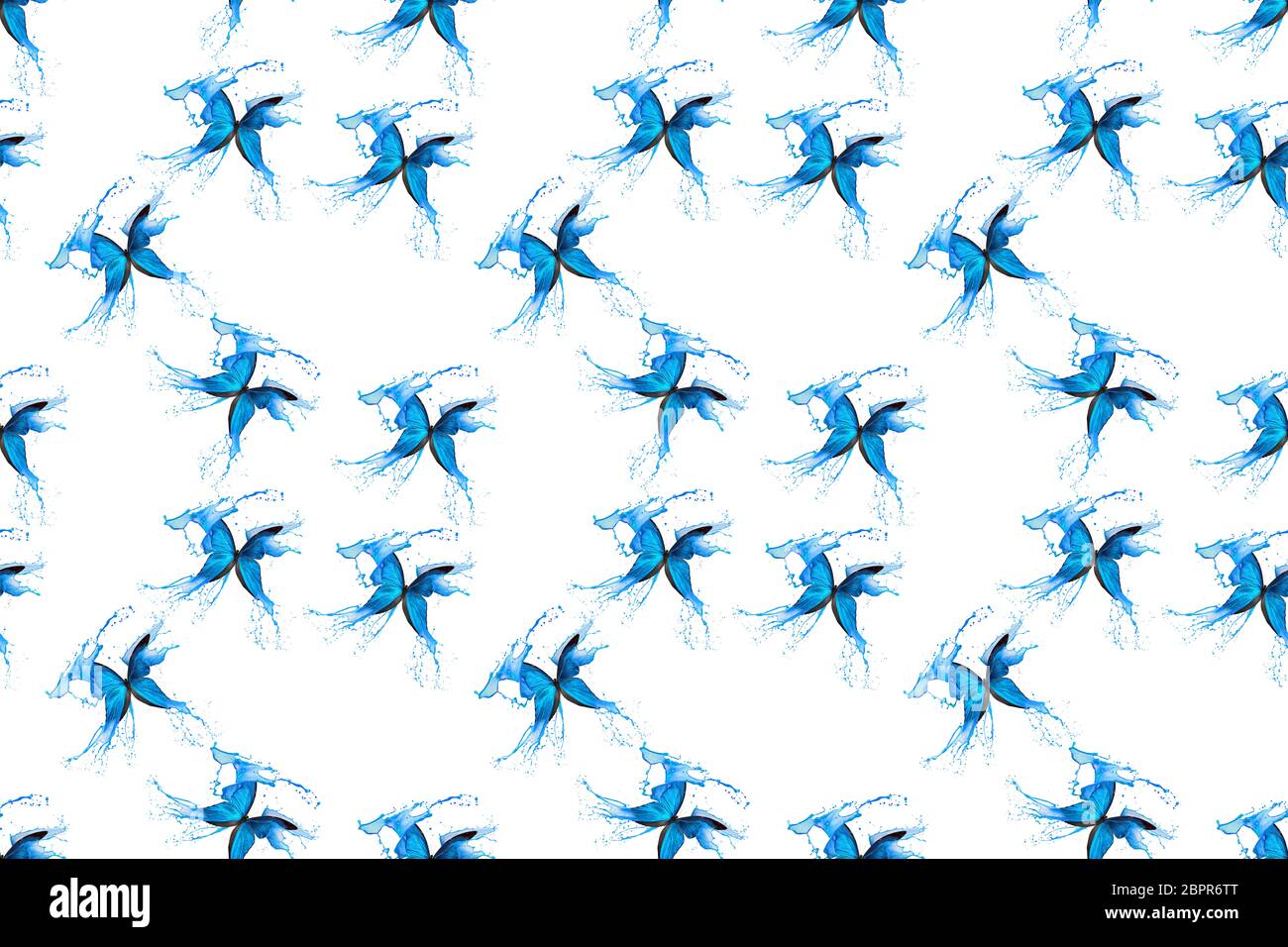 motivo a farfalla blu senza cuciture isolato su sfondo bianco. Foto Stock