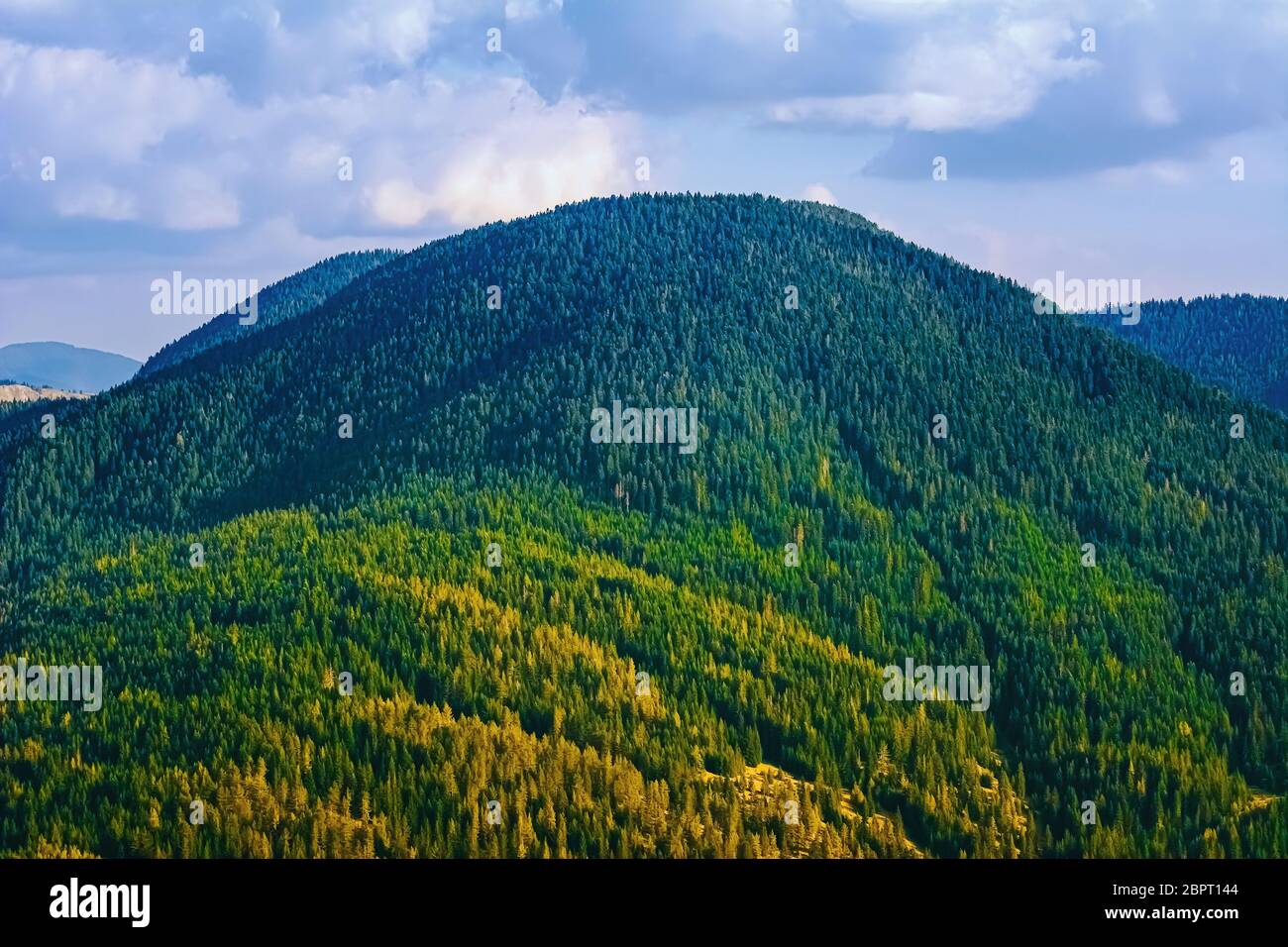 Catena montuosa dei Rhodopes nell'Europa sudorientale, Bulgaria Foto Stock