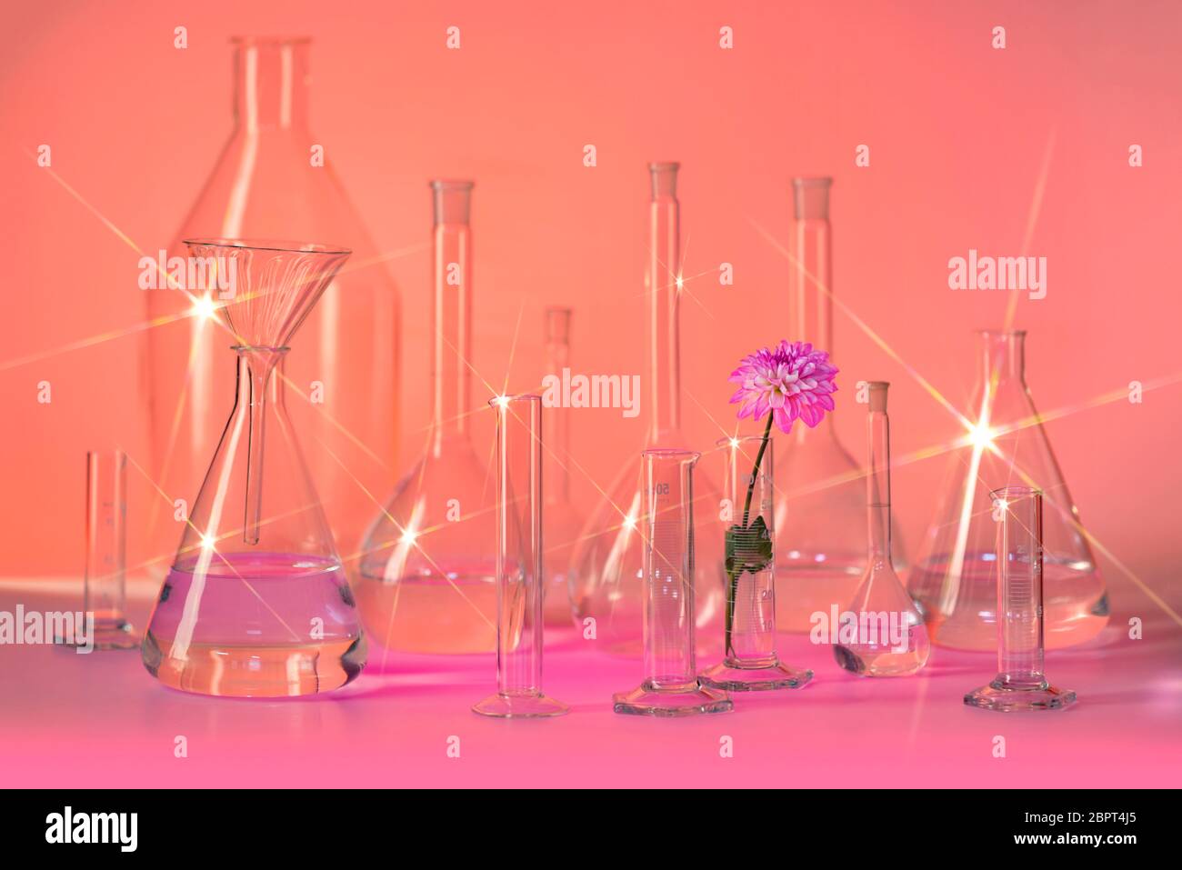 Varietà di riempire parzialmente la vetreria di laboratorio comprendente una testa di fiori in brillante atmosfera rossastra Foto Stock