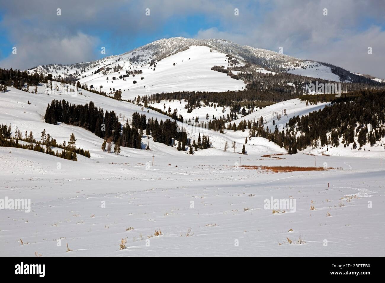 WY04479-00....WYOMING - Vista della montagna di Sepolcher dalla pista sciistica di anello del Passo dello neve in Gardners Hole nel Parco Nazionale di Yellowstone. Foto Stock