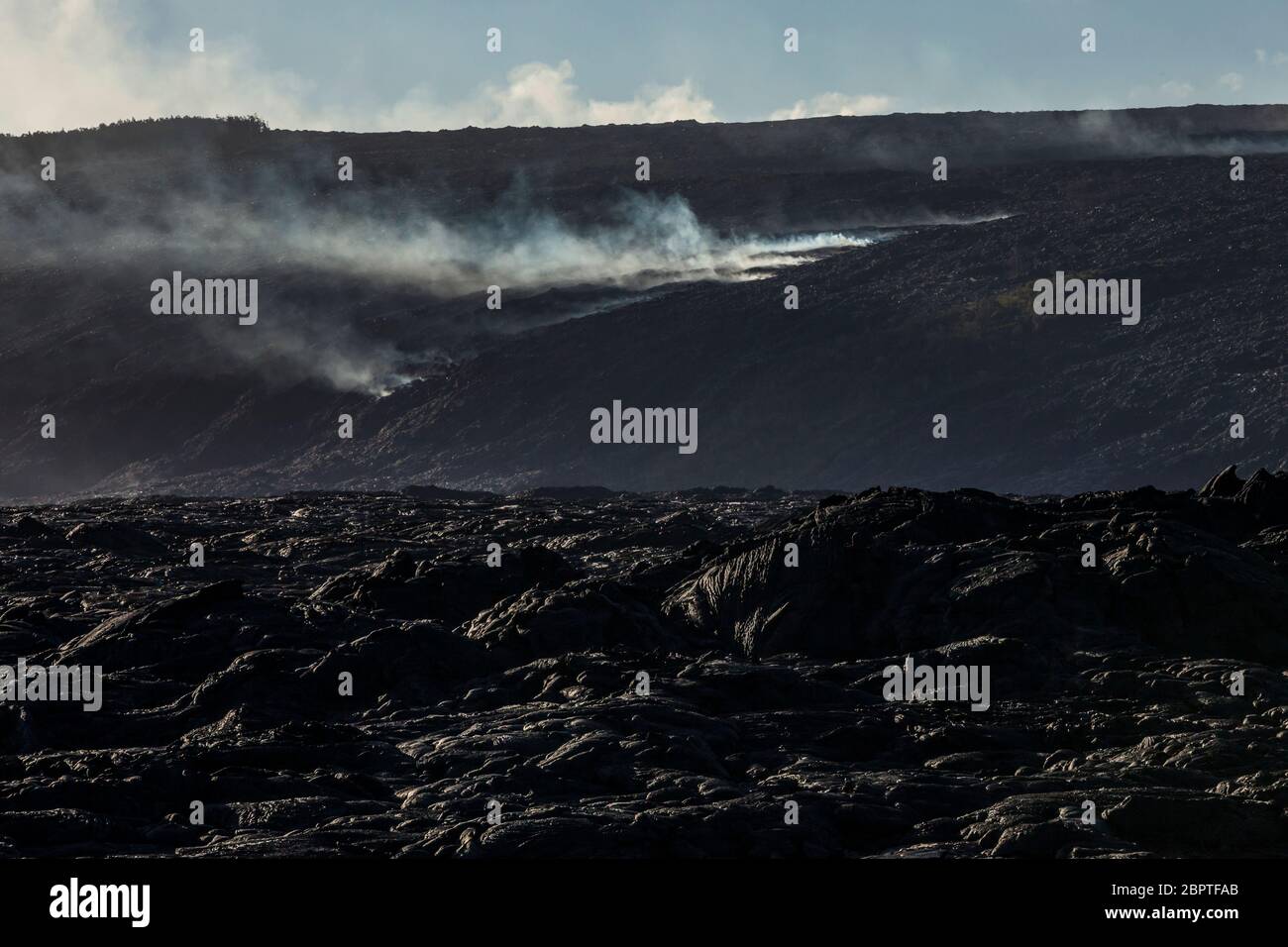 Vapore e gas si infiltrano dall'attività vulcanica sottostante sulla zona di Rift orientale a Puna, Hawaii, USA. Foto Stock
