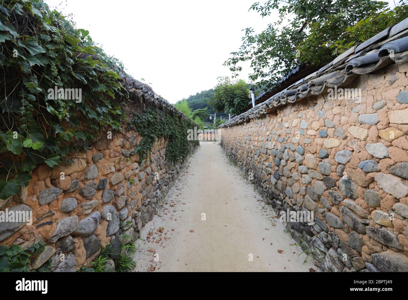 Tradizionale strada muraria coreana. Foto Stock