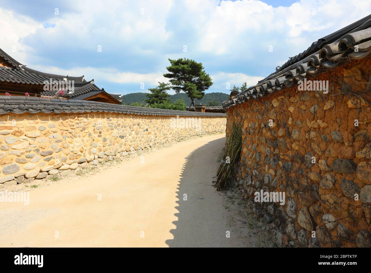 Le belle curve della tradizionale parete coreana. Foto Stock