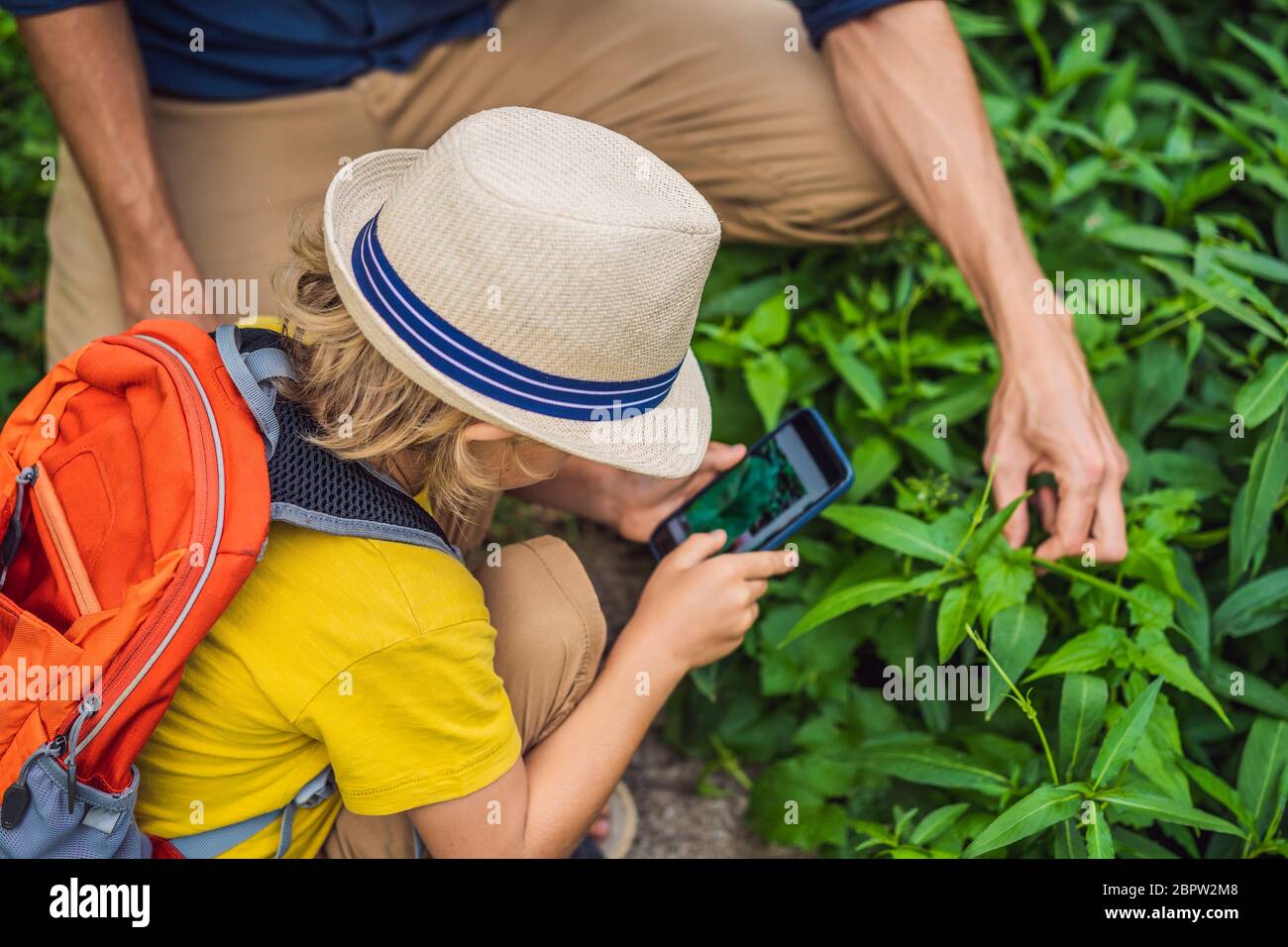 Papà e figlio identificare piante utilizzando l'applicazione su uno smartphone. la realtà aumentata Foto Stock