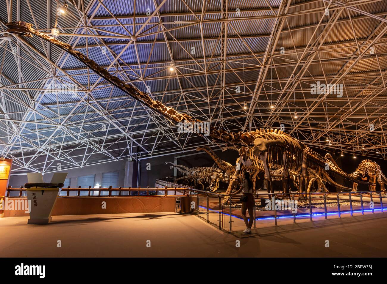 Kunming, Cina - 17 maggio 2020: Giovane donna in piedi di fronte ad un fossile di dinosauro nel Lufeng Dinosaur Valley Museum di Yunnan Foto Stock