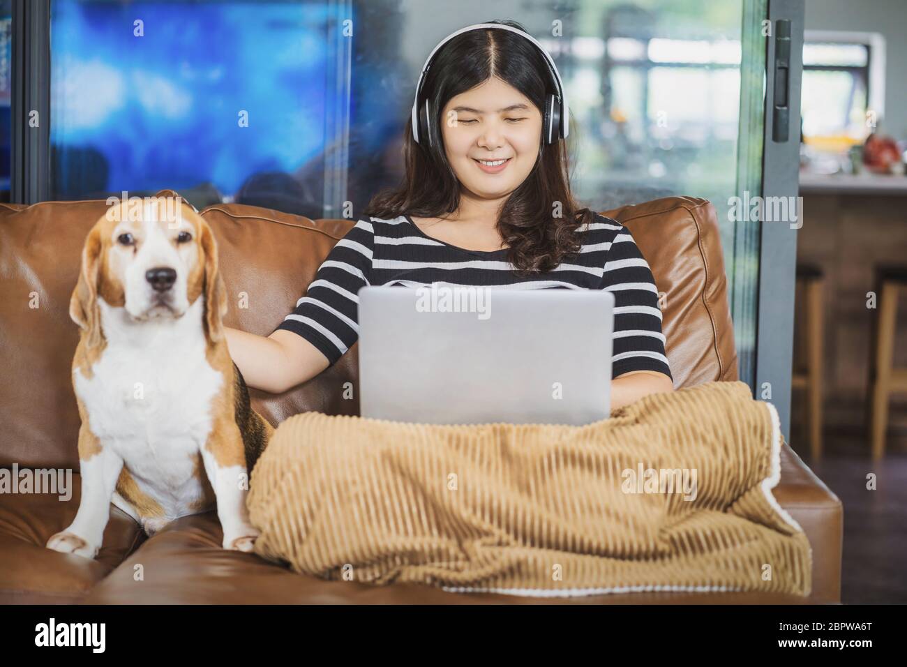 Donna asiatica d'affari che usa il laptop e le cuffie di tecnologia per lavorare da casa in casa interna da videoconferenza chiamata, seduta con il cane, startup Foto Stock