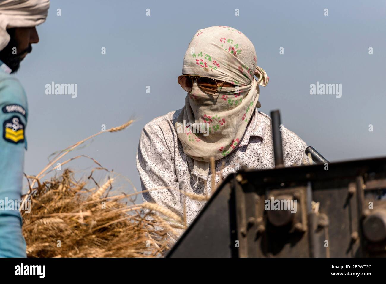 Gli agricoltori caricano i fasci di grano tagliato in una trebbiatrice mentre raccogliendo un campo nel distretto di Bulandshahr di Utttar Pradesh, India, il martedì 21 aprile 2020. Il settore agricolo sarà probabilmente il punto più luminoso per l’economia stagnante dell’India, mentre il primo ministro Narendra modi ha elaborato un piano per uscire dalla più grande crisi del mondo e rilanciare l’attività economica in stallo. Fotografo: Kuldeep Singh Rohilla Foto Stock