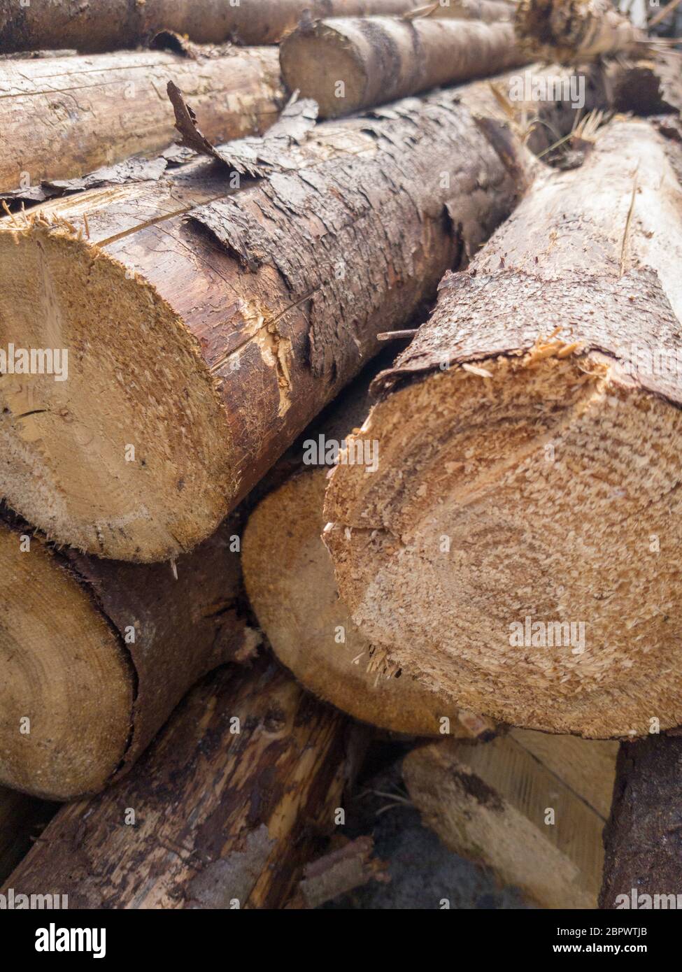 Pila di ciocchi di legna pronto per l'inverno - paesaggio esterno Foto Stock