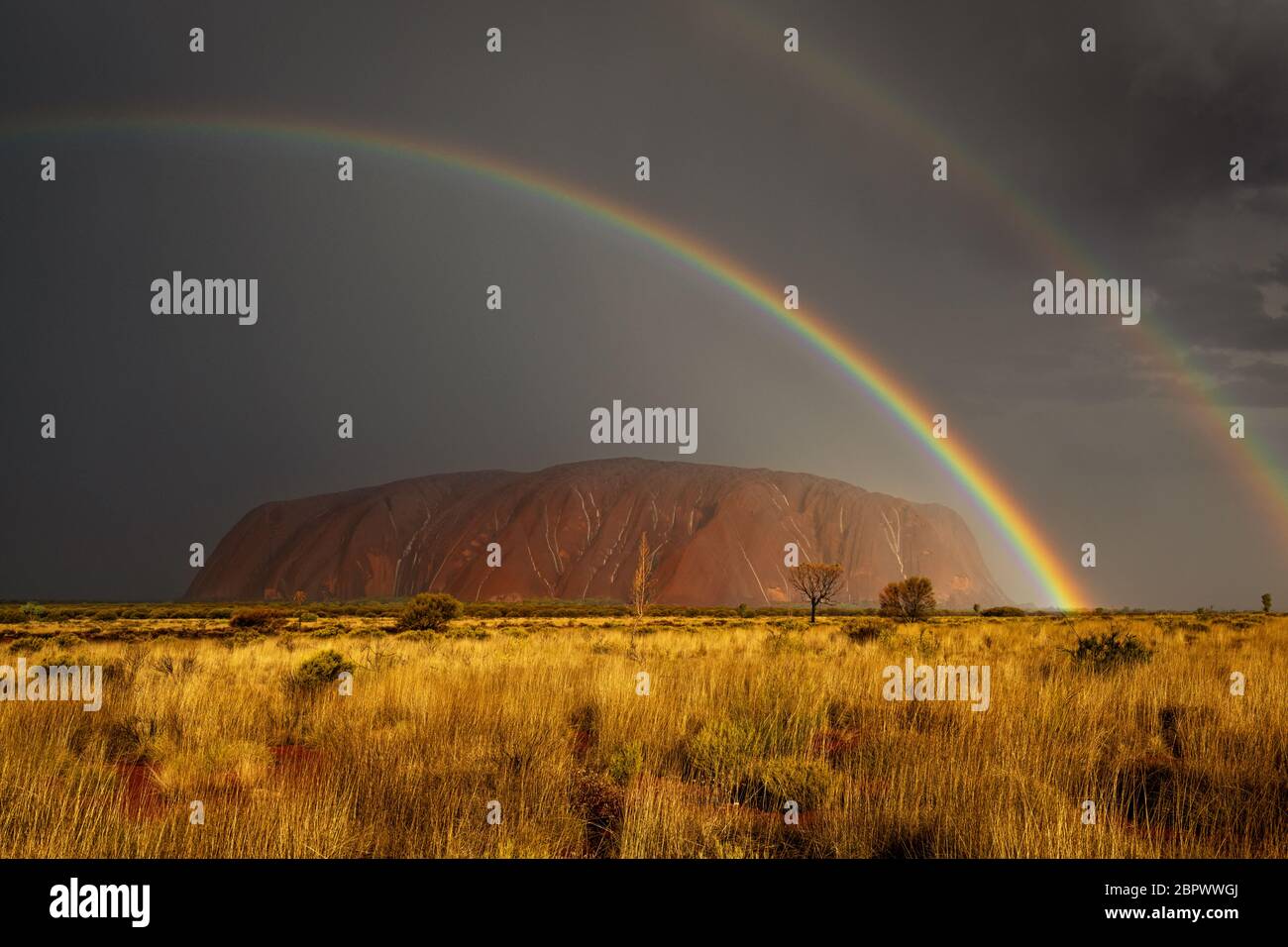 Raramente per vedere Uluru sotto la pioggia con un doppio arcobaleno. Foto Stock