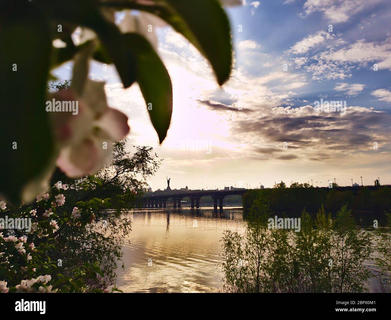 Foto di fiori di mela sullo sfondo di un ampio fiume Dnipro a Kiev e guardando la riva opposta e il ponte Foto Stock