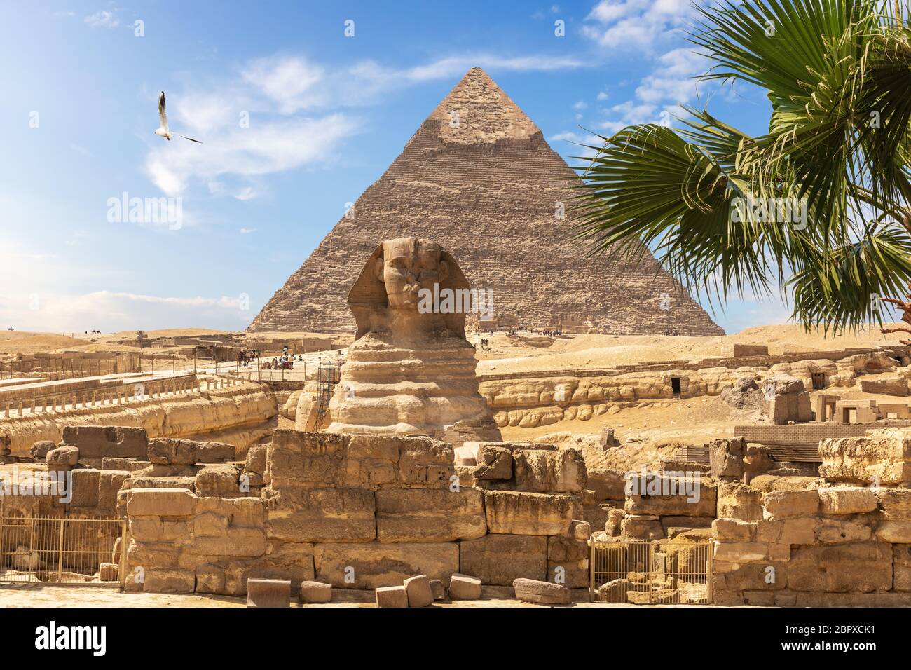 Piramidi egiziane: la Grande Sfinge e la piramide di Khafre. Foto Stock