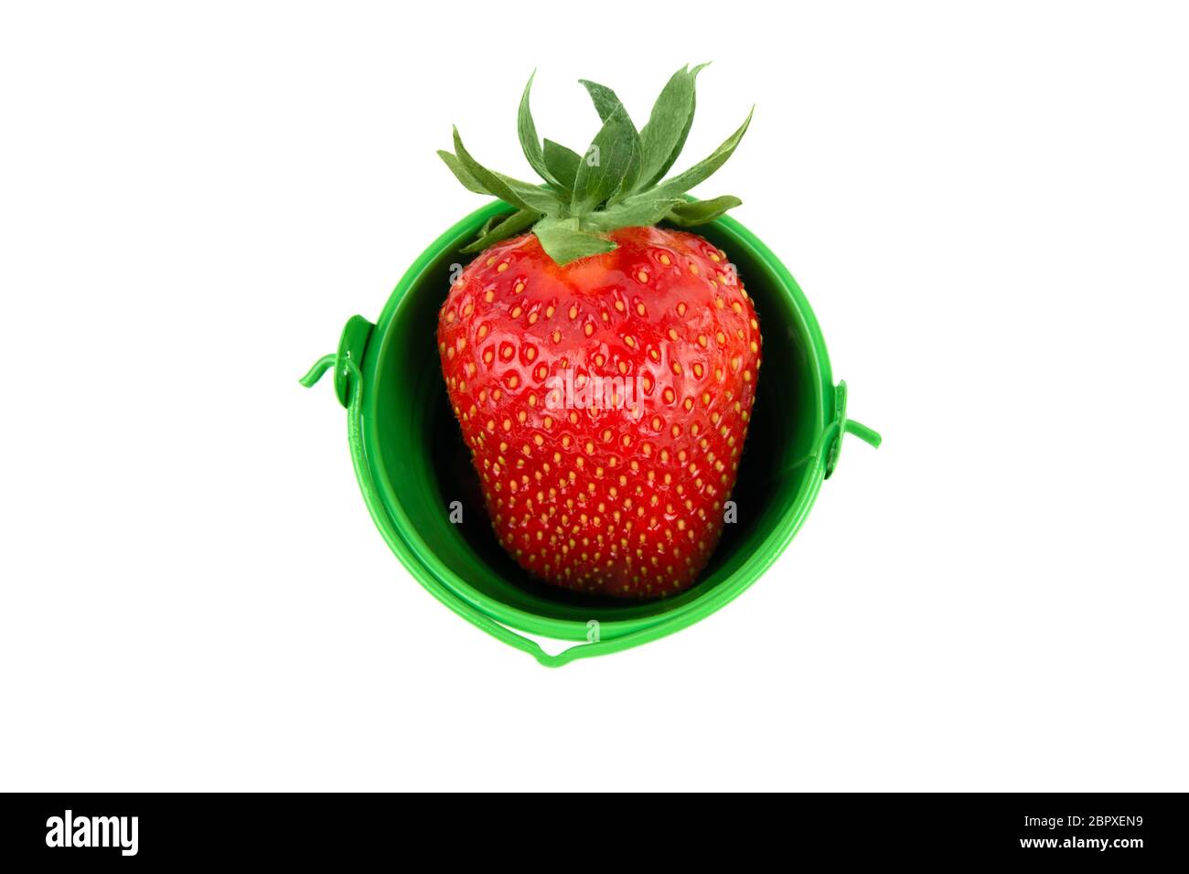Fragola fresca in un piccolo secchio verde. Vista dall'alto, isolata su bianco. Concetto di frutta organica: Un secchio con vitamina C, fibra e antiossidanti Foto Stock